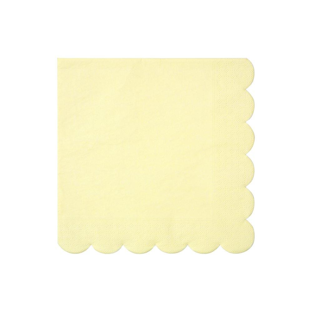 Party Palette Large Napkins (set of 20)