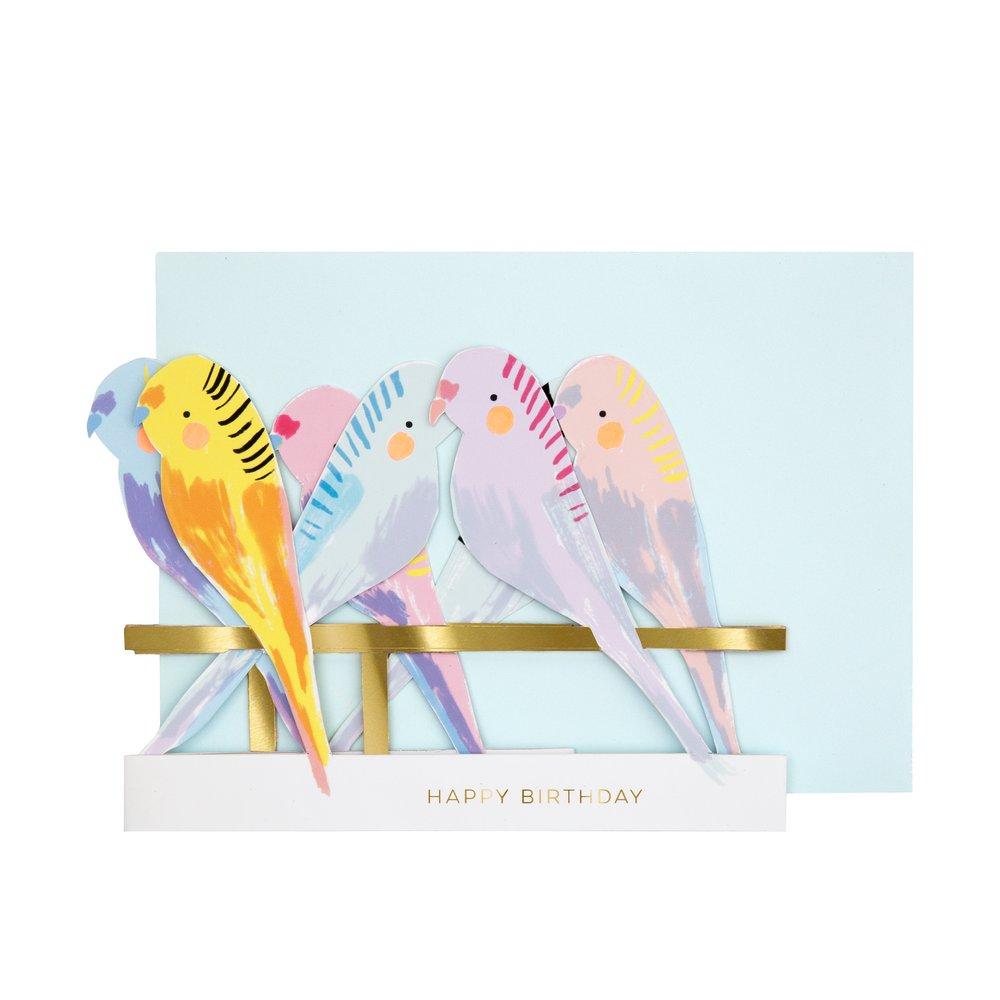 Budgie Concertina Card