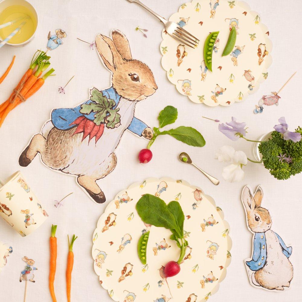 These plates feature illustrations of Peter Rabbit characters on the front, and a gingham design on the back. 