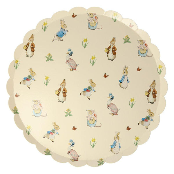 These plates feature illustrations of Peter Rabbit characters on the front, and a gingham design on the back. 